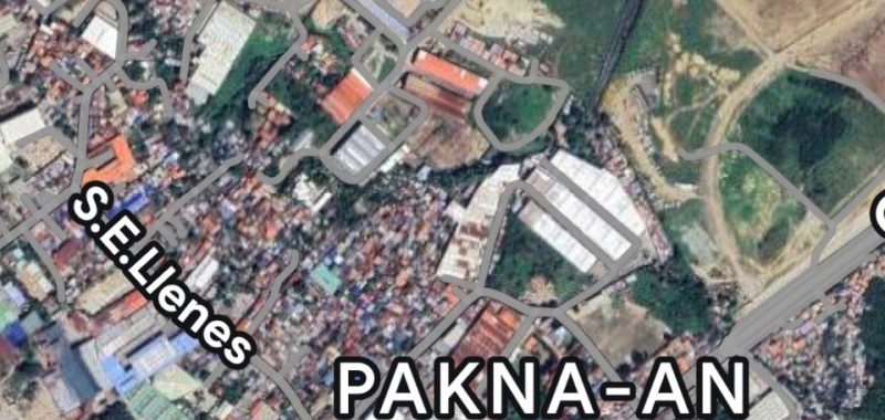 Lot For Sale In Paknaan Mandaue